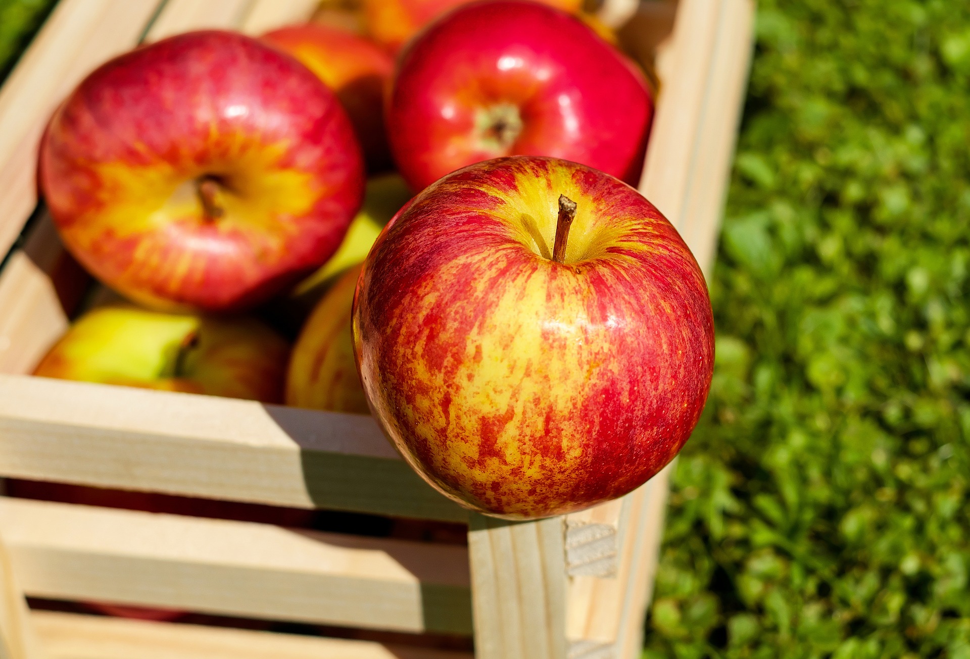 apple-g00aa363bb_1920